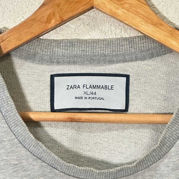 Zara Gray Crewneck Sweatshirt (Rare!) - Picture 3 of 3